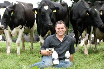 person sat in field with cows